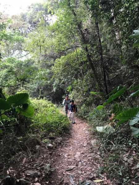 谷關大道院上的東卯山340506