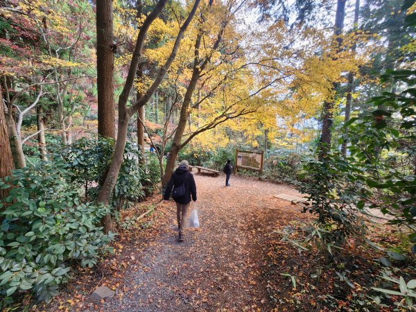 20251127陣馬山至高尾山2959101