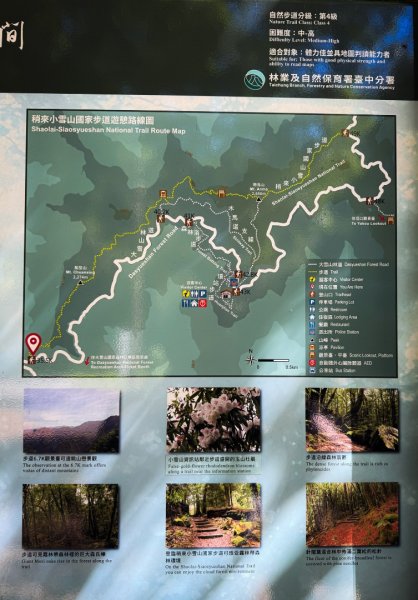 船型山-稍來小雪山國家步道3138034