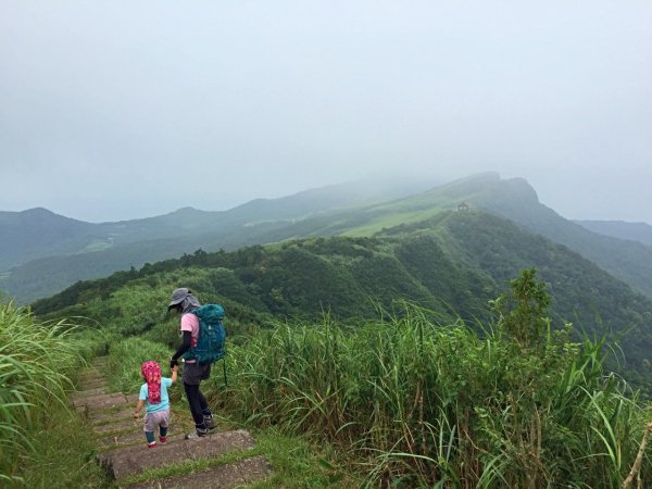 【晨爸推薦親子路線 #14】桃源谷登山步道