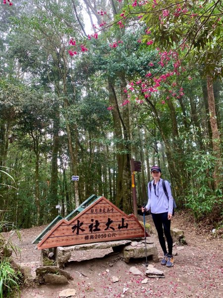 2021.03.14 「水社大山 」1307267