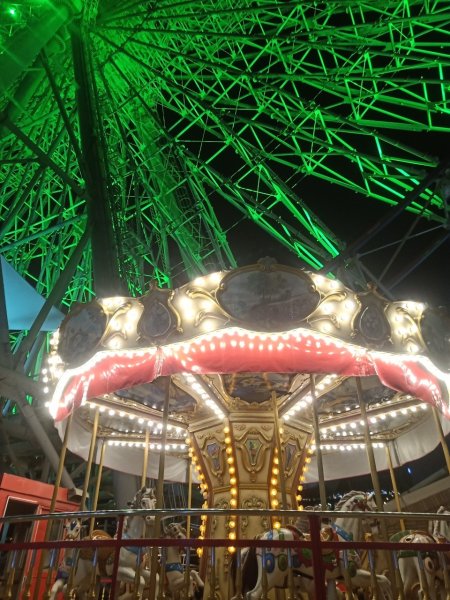 璀璨耀眼的夜景 - 大直美麗華、大稻埕、大港墘公園【臺北健走趣】【健走複利】2604563