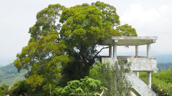 《台中》貓仔龍貓｜后里鳳凰山觀音山登山步道O繞202505042777247