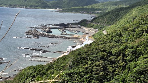 夏季的黃金十稜接九稜下門牙稜C型(草長路荒慎行)2880676