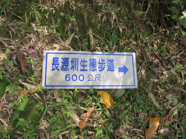 小半天長源圳生態步道36461