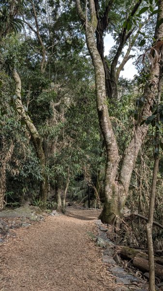 雪山坑環線3021054