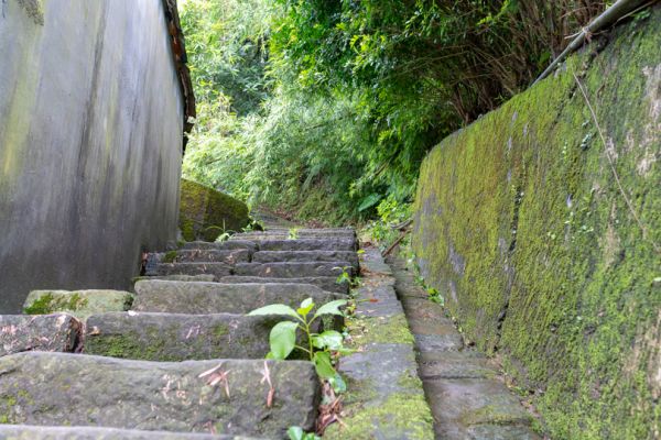 三貂嶺瀑布步道406569