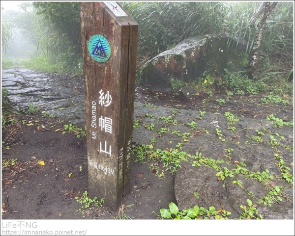 天母雨天健行1721595