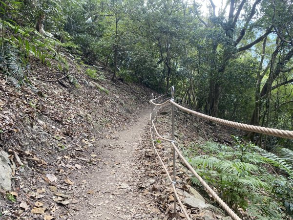 《雪山坑登山步道｜巨人之手森林秘境 Xueshankeng Hiking Trail & Giant2971101