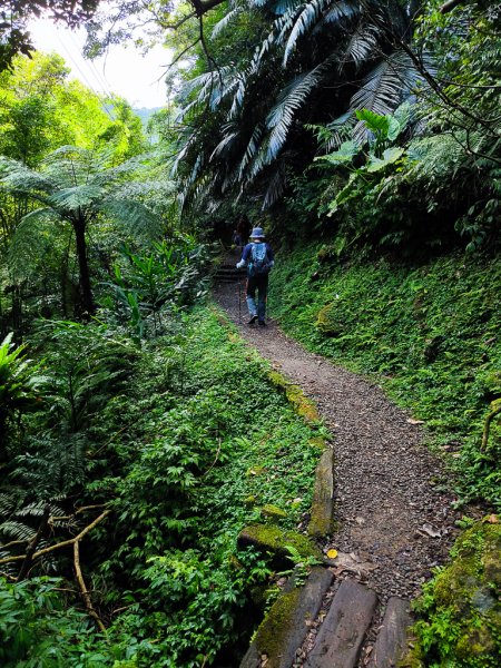2025-06-15 銀河洞越嶺登山步道2816178