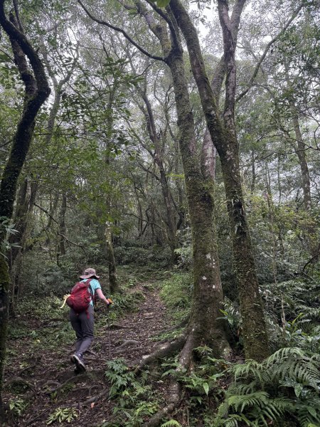 獅仔頭山 2025.07.202864274