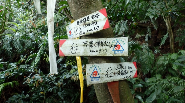 北部三大縱走之界寮大縱走50164