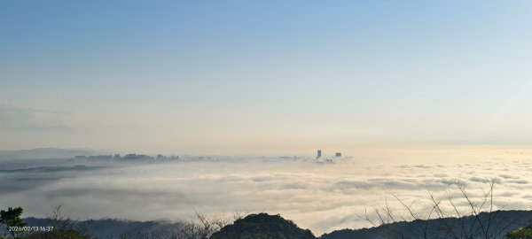 #觀音山 #雲海 #夕陽 #天空之城 #大赤鼯鼠（飛鼠） 2/132999425