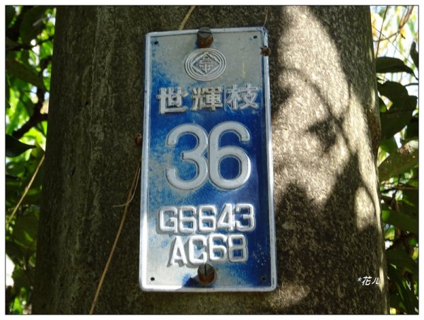 坪林山/台中-太平1283406