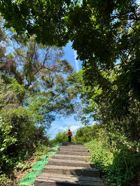 虎山岩區4條大嶺巷步道十二分埔山O繞逍遙輕鬆行3064029