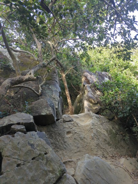 2024.12.21－旗尾山步道2677423