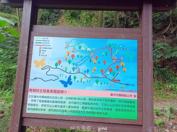 【台中霧峰】低海拔生態林相悠美。 奧山步道、桐林花廊步道、樟樹林步道、北坑溪步道O繞2570475