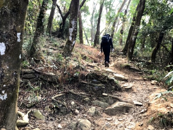 休閒健身笠頂山封面