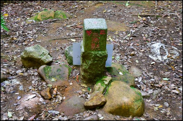 一座鳥山 ~ 金柑樹山 (小百岳)344650