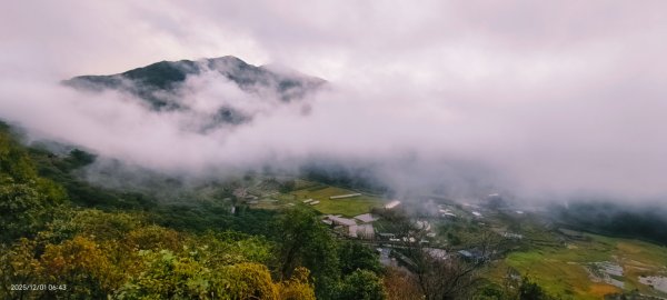 #陽明山 趴趴走12/12950342