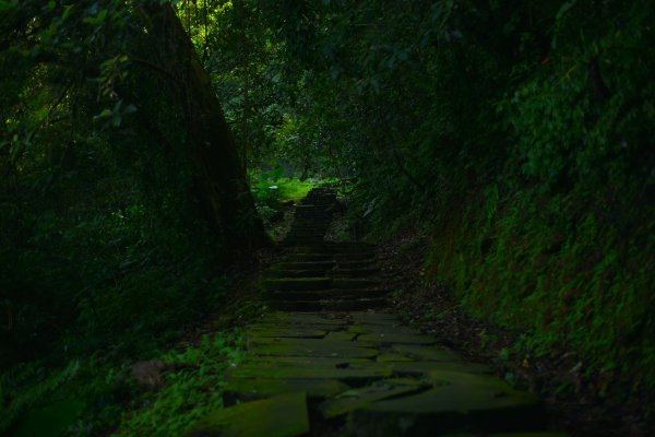 水社大山登山步道 (日月潭青年活動中心上)2194850