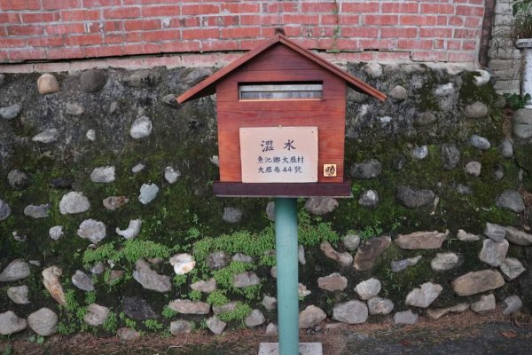 〔南投魚池〕澀水森林環狀步道，田頂步道。我真的走入侏儸紀公園裡！！！原來摸黑下山是這種感覺！！！2264295