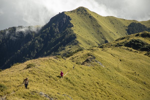 大小劍-油婆蘭全紀錄2674241