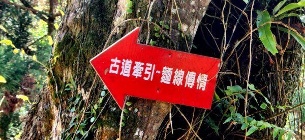 石碇獵狸尖，四分子古道，大格門古道，汐止白雲古道，汐止神社，台北黎和生態公園，宜蘭明池森林遊樂區2037670