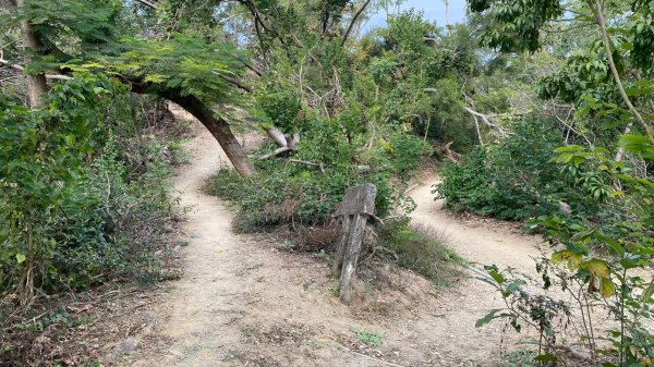 尚書林山步道(鳳凰山)2730906