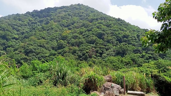 2-2 紗帽路旁磺溪祕境→白雲瀑布→陽明山前山公園→陽明醫院舊址1825877