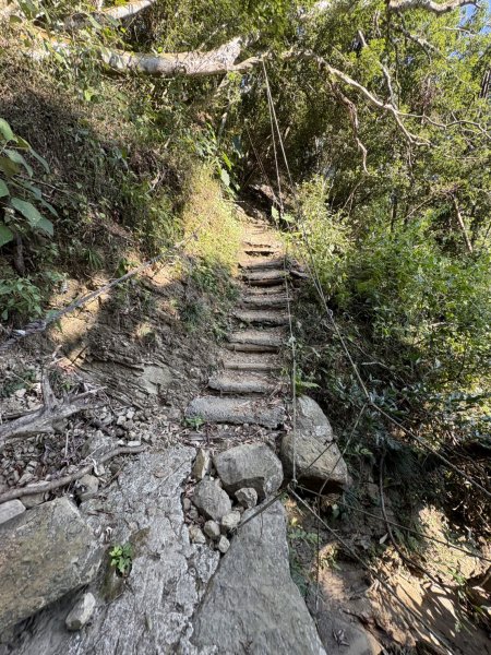 20251123台南－獵鷹尖一線天步道2944547