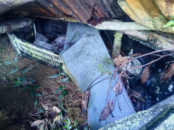 嚼嚼斯古道，嚼嚼斯部落遺址，鱉頭山2606067