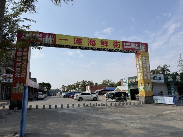 [茂名馬之行-07] 2026_0117 中國第一灘2995554