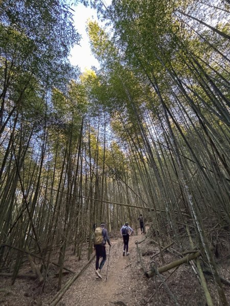 水社大山-鳥瞰日月潭2401857