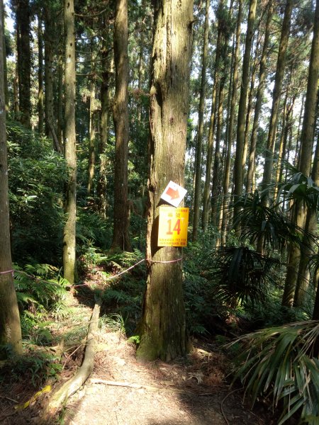 三角湖山向天湖山光天高山O形1911608