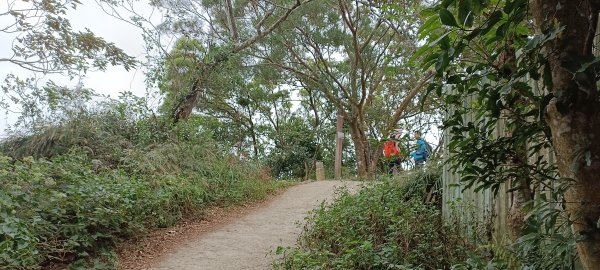 20231112_飛鳳山+觀日坪古道(含中坑山+石壁潭山)2344949