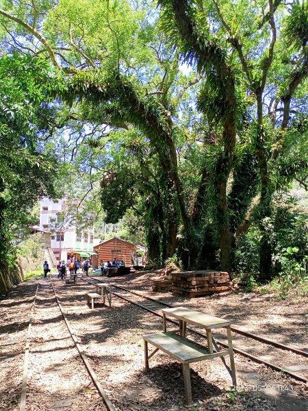 獨立山國家步道【嘉義-台灣百大必訪步道】, #058 獨立山 H840m【小百岳集起來】2148564