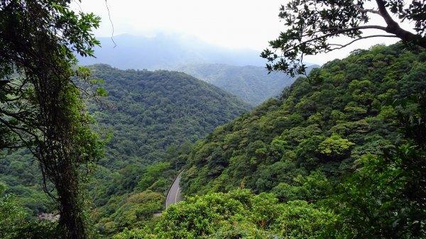 八煙,擎天崗,冷水坑2217989