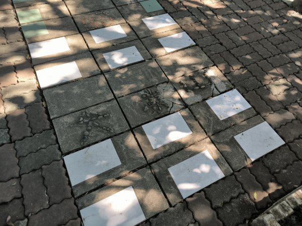 20250906泰山辭修公園、尖棟山、69步道、瓊仔胡2879486