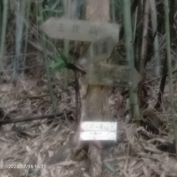 皮皮:三段崎古道2838648