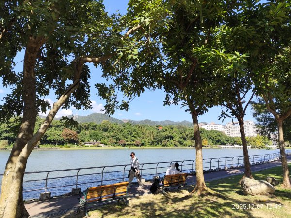 【臺北大縱走 5】碧山巖→忠勇山越嶺步道→金龍產業道路→圓明寺步道→鄭成功廟→潛園→格物台→劍潭古寺2958957