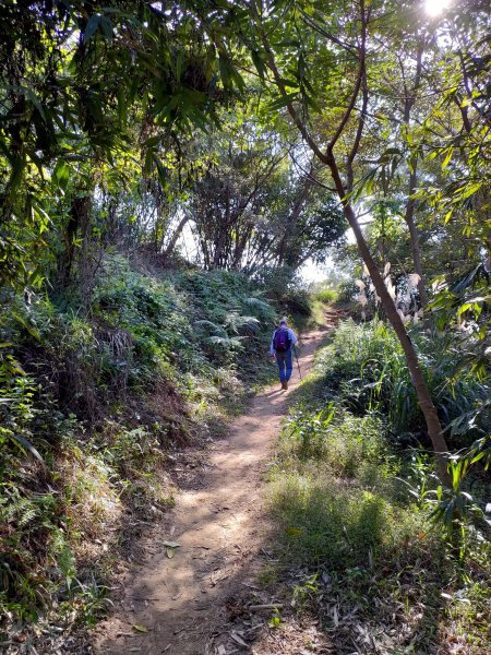 觀音山小北插-鷹仔尖-占山-福隆山步道808472