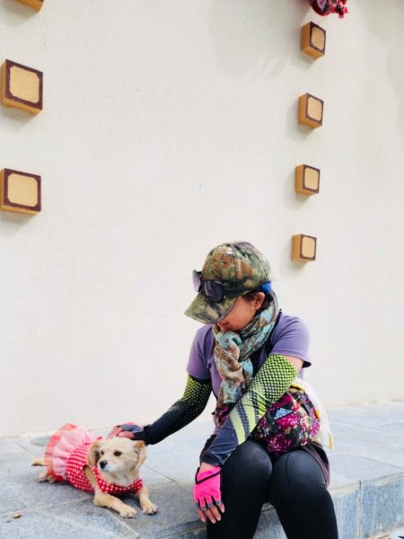 西藏♥️可愛動物🐎人物寫真/拉薩旅拍/美食2902965