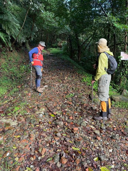 新北 汐止 柯子林橋-柯子林天然泳池-友蚋山南峰-友蚋山-新山-夢湖-柯子林橋2988373