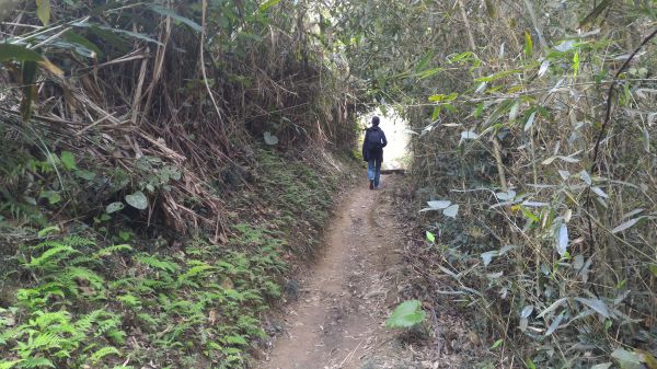 獨立山、大巃頂122466