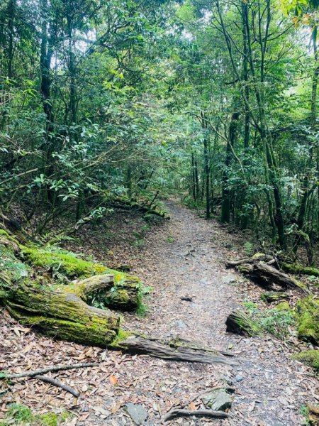 稍來山#39號 雲霧小百岳1787038