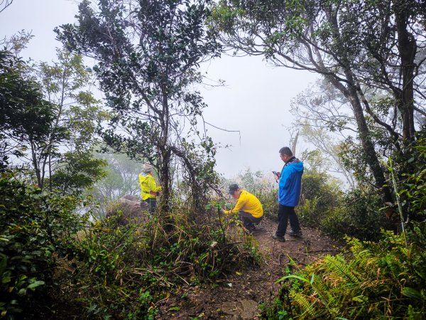 2025-03-08 汶水三山：金童山、汶水山、玉女山 連走2736515