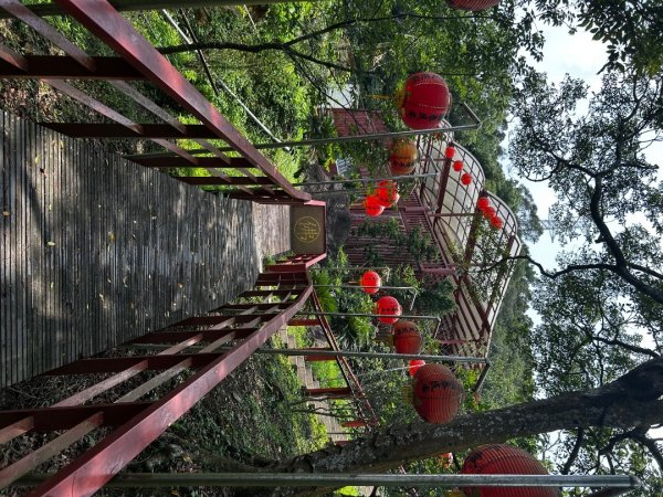 內湖金面山2811758