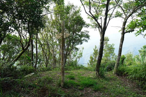 新北 新店 石碇後山、赤腳蘭山、暗寶劍山、鳥嘴尖2793490