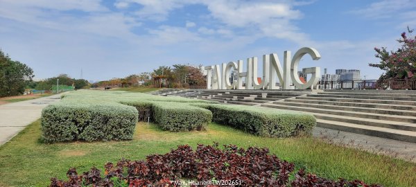 《台中》冬日暖陽｜筏子溪門戶迎賓水岸廊道健行賞鳥202601182983608